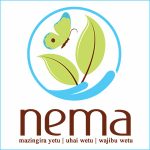 National Environment Management Authority (NEMA)